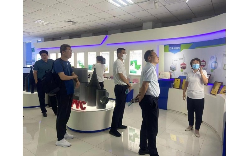 河北省工信廳副廳長(zhǎng)董繼華一行蒞臨我司視察調(diào)研